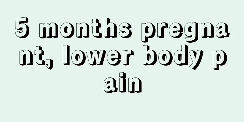 5 months pregnant, lower body pain