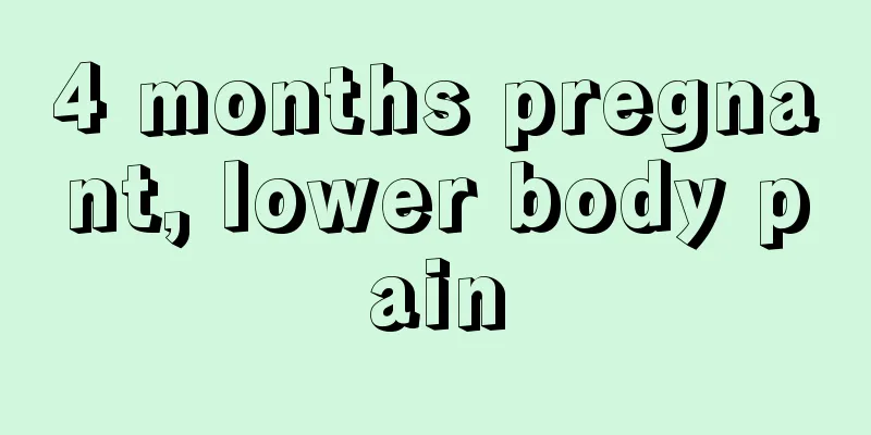 4 months pregnant, lower body pain