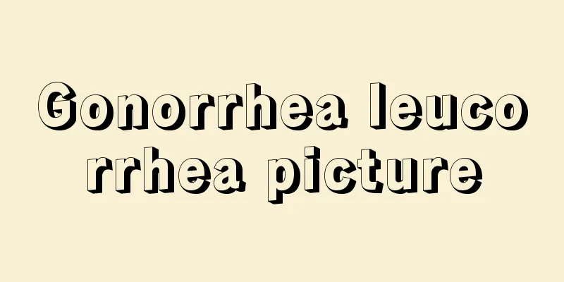 Gonorrhea leucorrhea picture