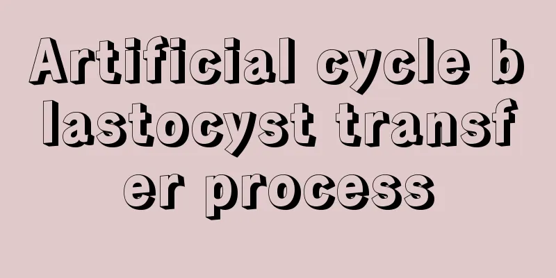 Artificial cycle blastocyst transfer process