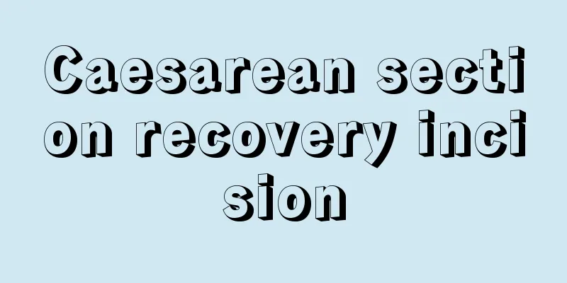 Caesarean section recovery incision