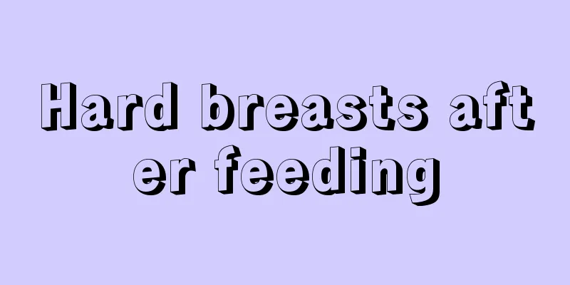 Hard breasts after feeding