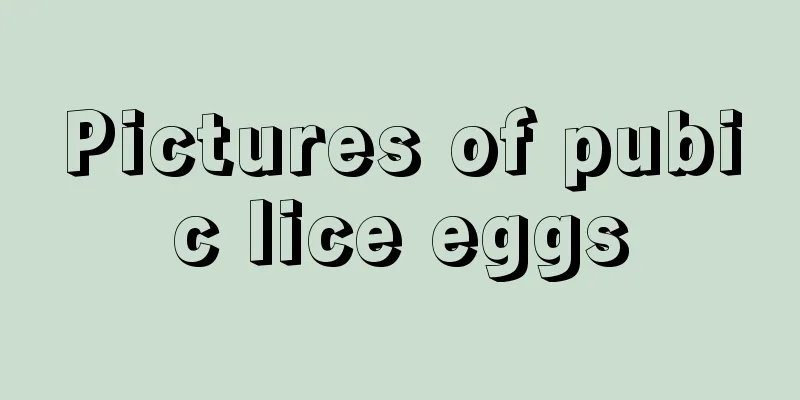 Pictures of pubic lice eggs