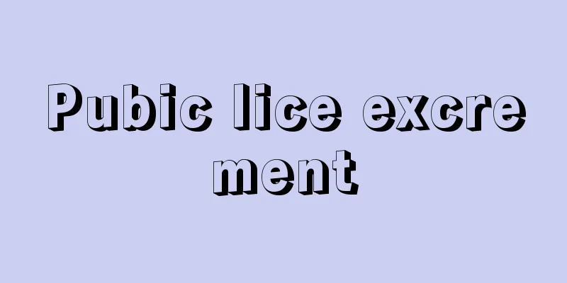 Pubic lice excrement