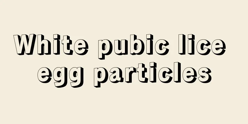 White pubic lice egg particles