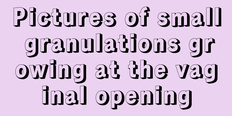 Pictures of small granulations growing at the vaginal opening