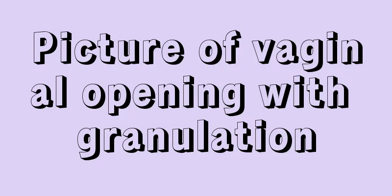 Picture of vaginal opening with granulation