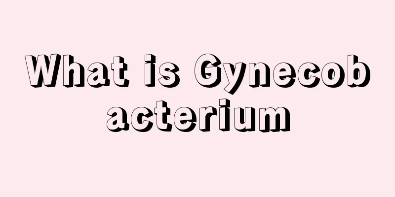 What is Gynecobacterium