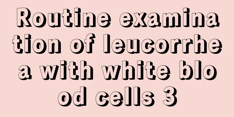 Routine examination of leucorrhea with white blood cells 3