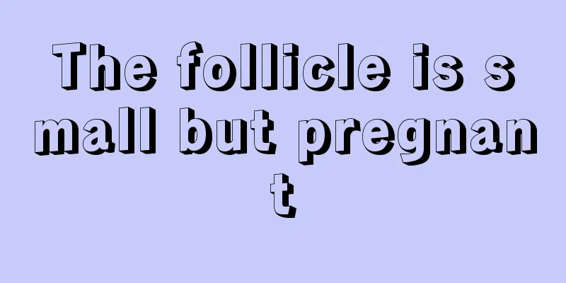 The follicle is small but pregnant