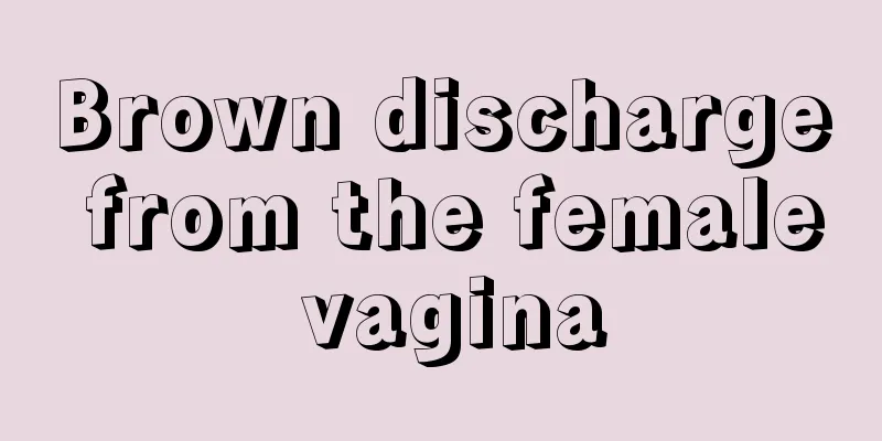 Brown discharge from the female vagina