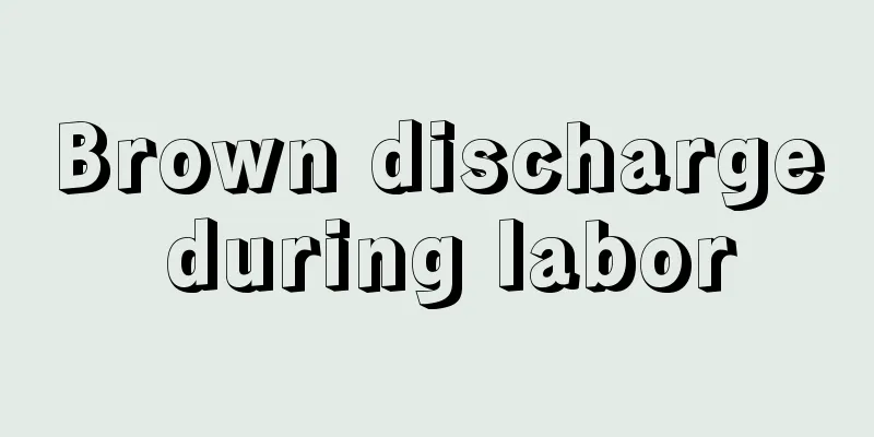 Brown discharge during labor