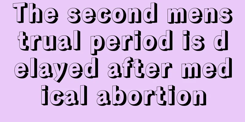 The second menstrual period is delayed after medical abortion