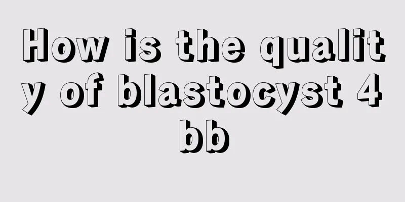 How is the quality of blastocyst 4bb