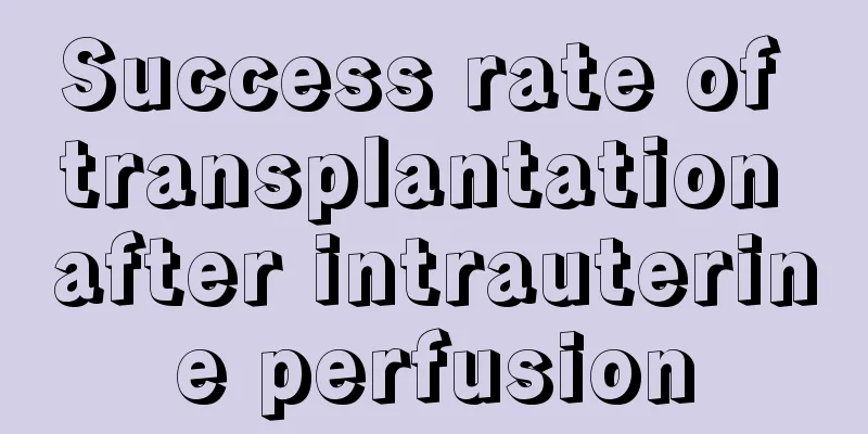 Success rate of transplantation after intrauterine perfusion