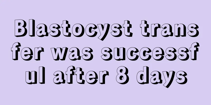 Blastocyst transfer was successful after 8 days