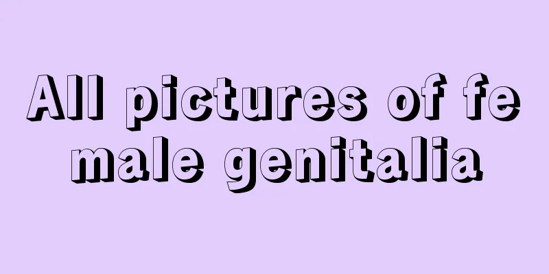 All pictures of female genitalia