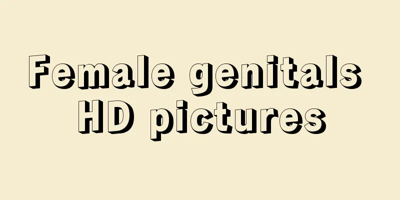 Female genitals HD pictures