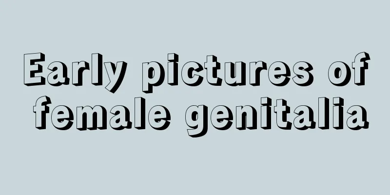 Early pictures of female genitalia