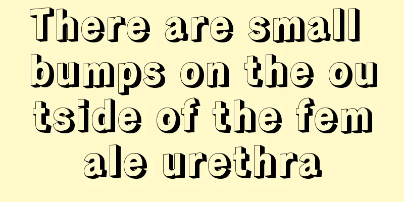 There are small bumps on the outside of the female urethra