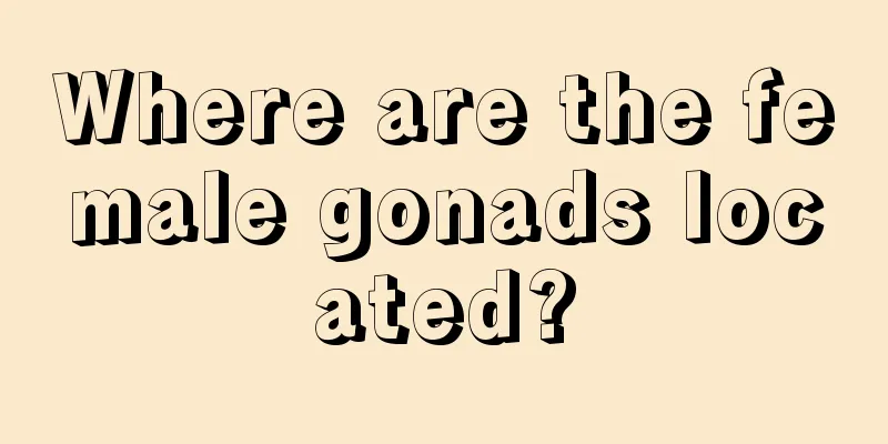 Where are the female gonads located?