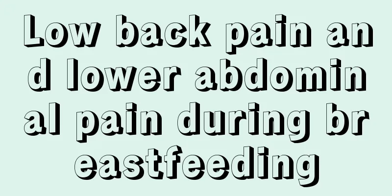 Low back pain and lower abdominal pain during breastfeeding