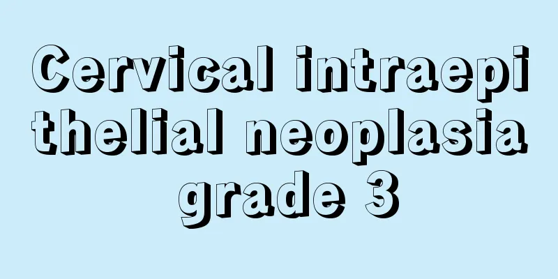 Cervical intraepithelial neoplasia grade 3