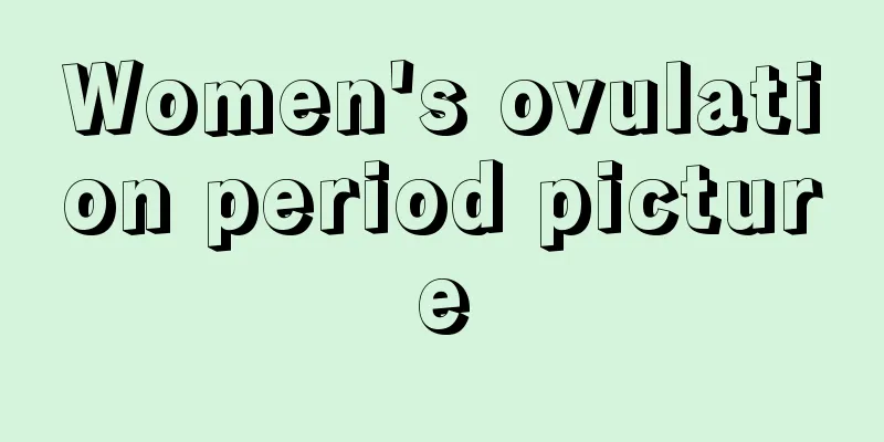 Women's ovulation period picture