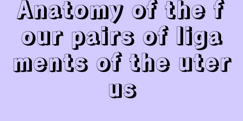 Anatomy of the four pairs of ligaments of the uterus