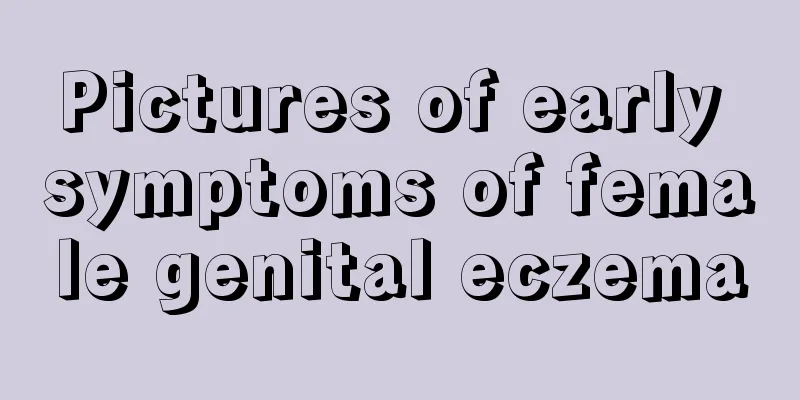 Pictures of early symptoms of female genital eczema