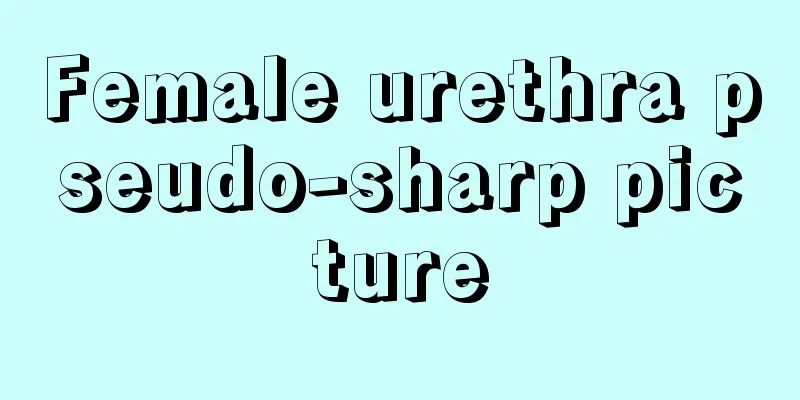 Female urethra pseudo-sharp picture