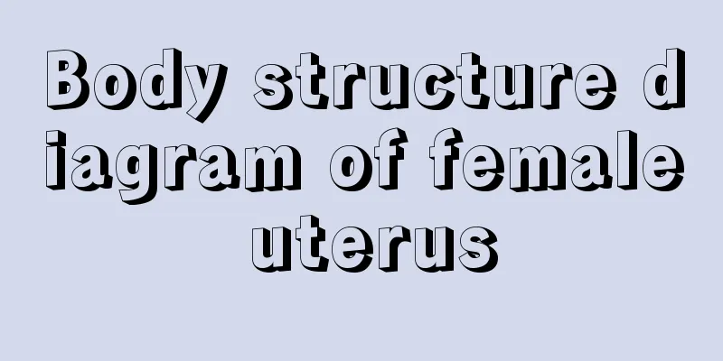 Body structure diagram of female uterus