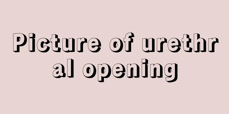 Picture of urethral opening