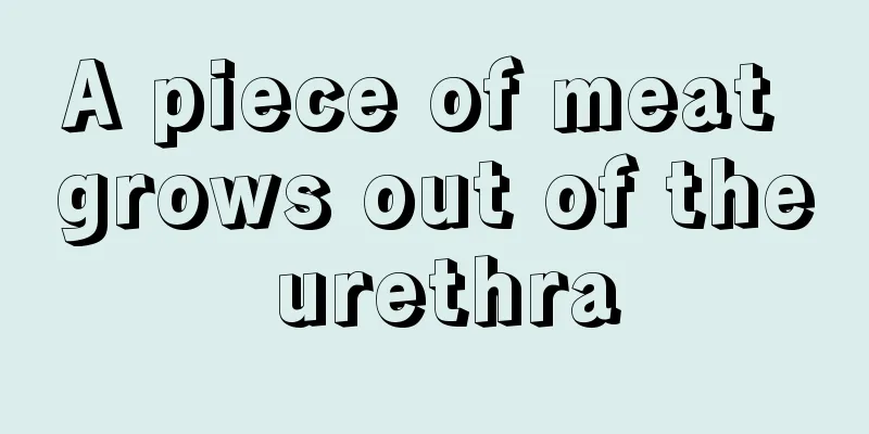 A piece of meat grows out of the urethra