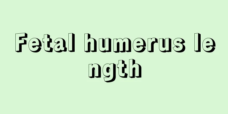 Fetal humerus length