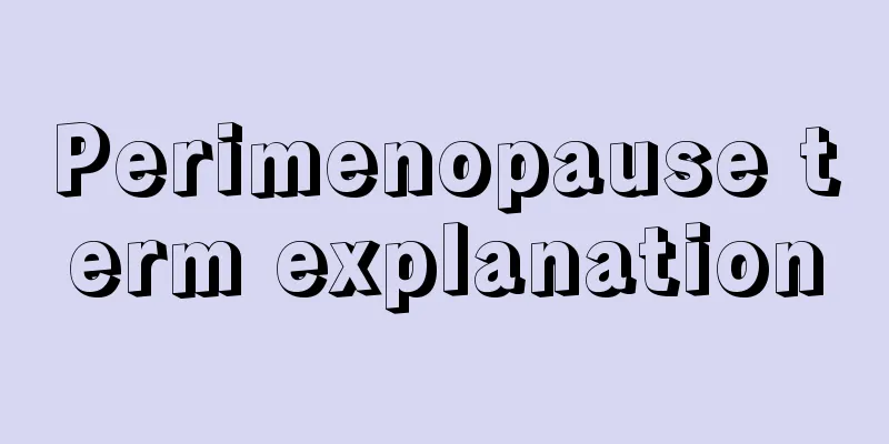 Perimenopause term explanation