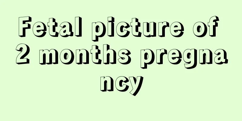 Fetal picture of 2 months pregnancy