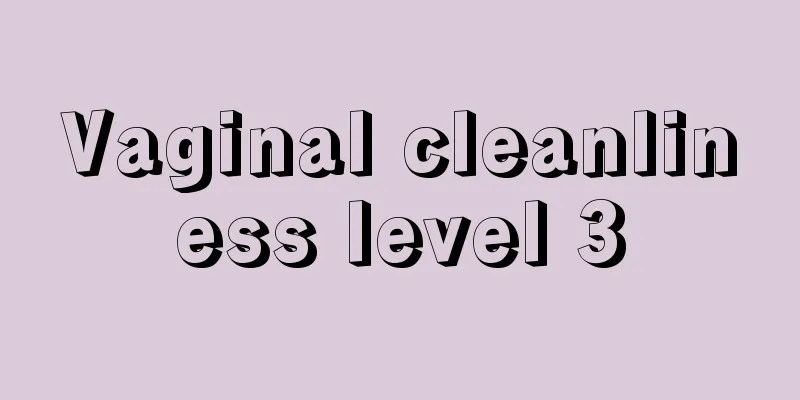 Vaginal cleanliness level 3