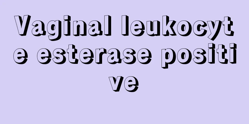 Vaginal leukocyte esterase positive