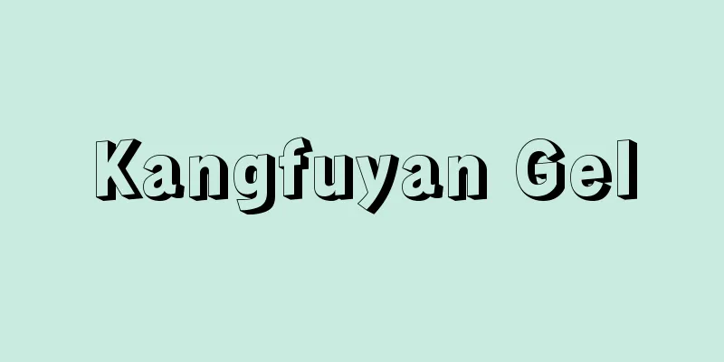 Kangfuyan Gel