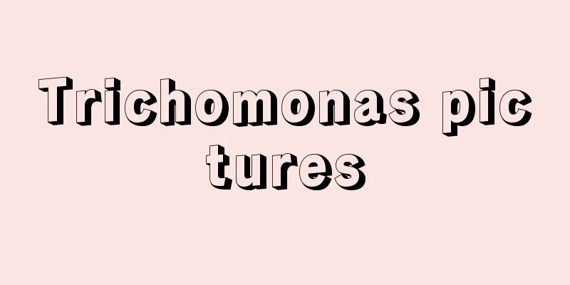 Trichomonas pictures