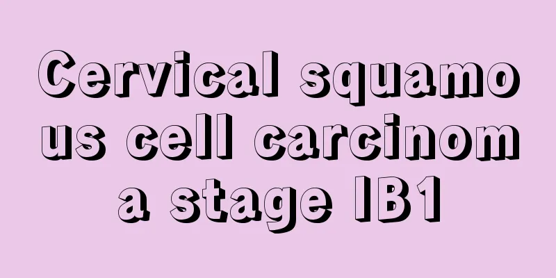 Cervical squamous cell carcinoma stage IB1