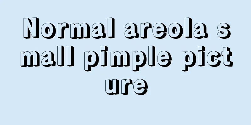 Normal areola small pimple picture