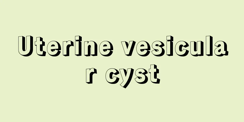 Uterine vesicular cyst