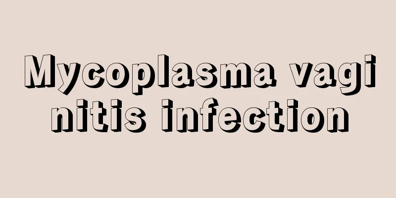 Mycoplasma vaginitis infection