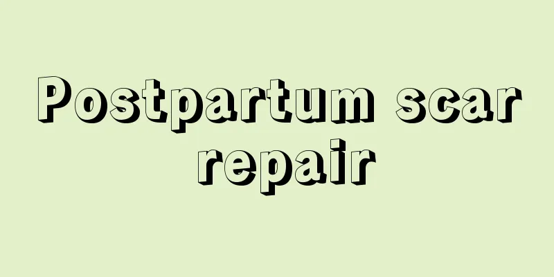 Postpartum scar repair