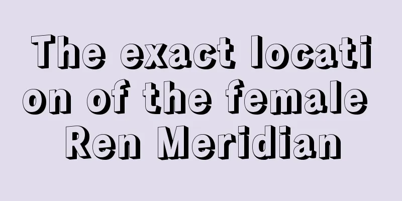 The exact location of the female Ren Meridian