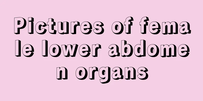 Pictures of female lower abdomen organs