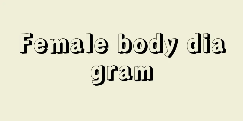 Female body diagram