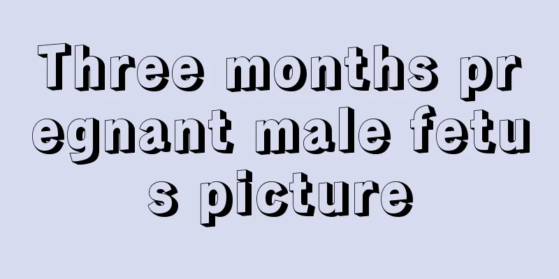 Three months pregnant male fetus picture